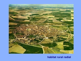habitat rural radial
 