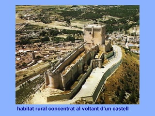habitat rural concentrat al voltant d’un castell
 