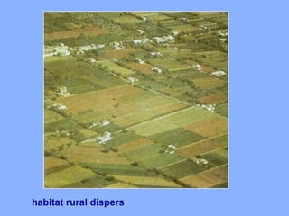 habitat rural dispers
 