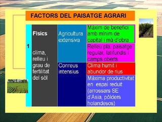 1. geografia econòmica 2