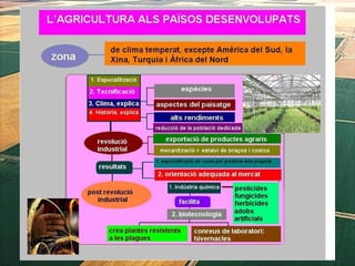 1. geografia econòmica 2