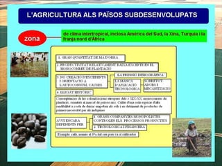 1. geografia econòmica 2