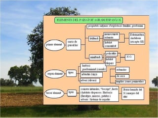 1. geografia econòmica 2