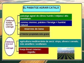1. geografia econòmica 2