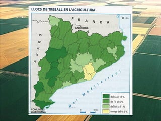 1. geografia econòmica 2