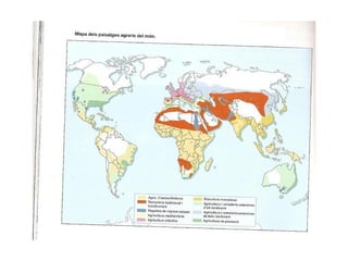 1. geografia econòmica 2