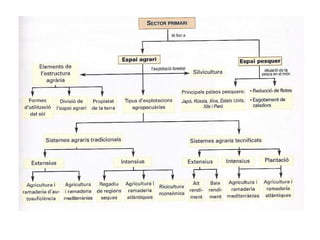 1. geografia econòmica 2