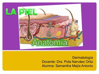 Dermatología
Docente: Dra. Pola Narváez Ortiz
Alumna: Samantha Mejía Antonio
 