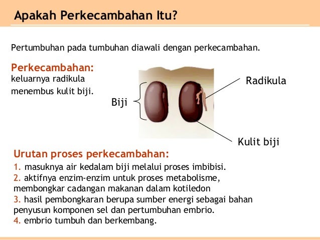 1.1 bab pertumbuhan dan perkemban g bailmu