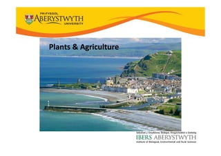 Plants & Agriculture
 