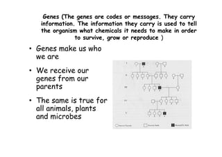 B4FA 2012 Ghana: Fundamentals of Genetics - Eric Danquah