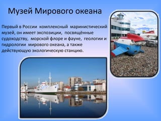 Музей Мирового океана
Первый в России комплексный маринистический
музей, он имеет экспозиции, посвящённые
судоходству, морской флоре и фауне, геологии и
гидрологии мирового океана, а также
действующую экологическую станцию.
 