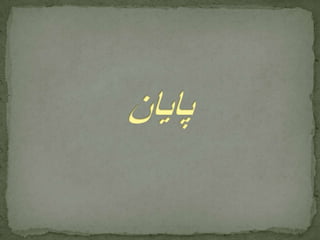 گزارش تیر ماه ۹۱