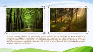 Σν δάζνο παξάγεη νμπγόλν, καο πξνζηαηεύεη από ηε κόιπλζε, επηδξά επεξγεηηθά ζην θιίκα, εκπνδίδεη ηε
δηάβξσζε ηνπ εδάθνπο, αλαθπθιώλεη θαη βειηηώλεη ηελ πνηόηεηα ηνπ λεξνύ, ζπγθξαηεί ην λεξό ηεο
βξνρήο, πξνζηαηεύεη από ηνπο αλέκνπο, κεηώλεη ηηο βιαβεξέο αθηηλνβνιίεο, απνξξνθά ηνπο ζνξύβνπο, πξνζθέξεη
δπλαηόηεηεο αλαςπρήο θαη άζιεζεο, δίλεη πιηθά όπσο ην μύιν, ην ξεηζίλη, θαξπνύο θαη ηέινο εμαζθαιίδεη ζηέγε θαη
ηξνθή γηα κηα κεγάιε πνηθηιία δώσλ.
 