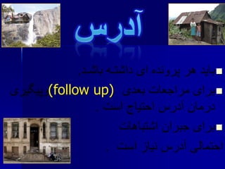 
(follow up)

 