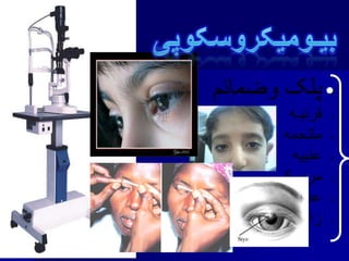 •
•
•
•
•
•
•
 