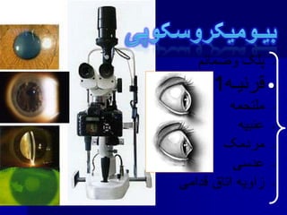 •
•
•
•
•
•
•
 