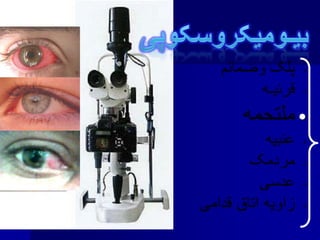 •
•
•
•
•
•
•
 