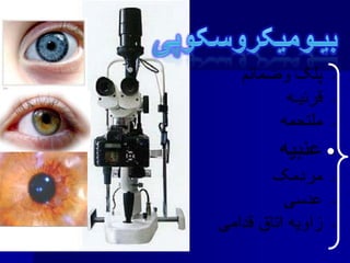 •
•
•
•
•
•
•
 