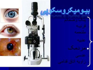 •
•
•
•
•
•
•
 