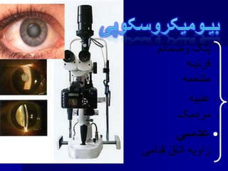 •
•
•
•
•
•
•
 