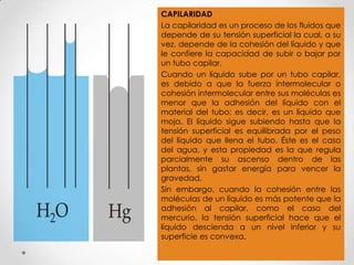 CAPILARIDAD
La capilaridad es un proceso de los fluidos que
depende de su tensión superficial la cual, a su
vez, depende de la cohesión del líquido y que
le confiere la capacidad de subir o bajar por
un tubo capilar.
Cuando un líquido sube por un tubo capilar,
es debido a que la fuerza intermolecular o
cohesión intermolecular entre sus moléculas es
menor que la adhesión del líquido con el
material del tubo; es decir, es un líquido que
moja. El líquido sigue subiendo hasta que la
tensión superficial es equilibrada por el peso
del líquido que llena el tubo. Éste es el caso
del agua, y esta propiedad es la que regula
parcialmente su ascenso dentro de las
plantas, sin gastar energía para vencer la
gravedad.
Sin embargo, cuando la cohesión entre las
moléculas de un líquido es más potente que la
adhesión al capilar, como el caso del
mercurio, la tensión superficial hace que el
líquido descienda a un nivel inferior y su
superficie es convexa.
 