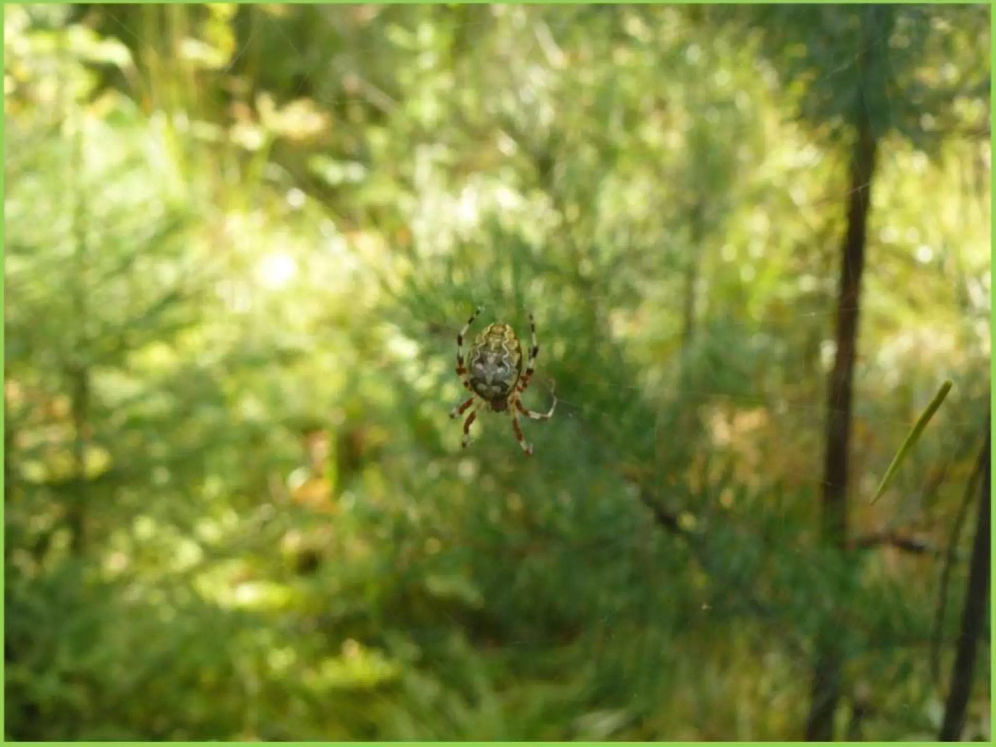 Шаймухаметова Л.А. Мой край – Урал (презентация)