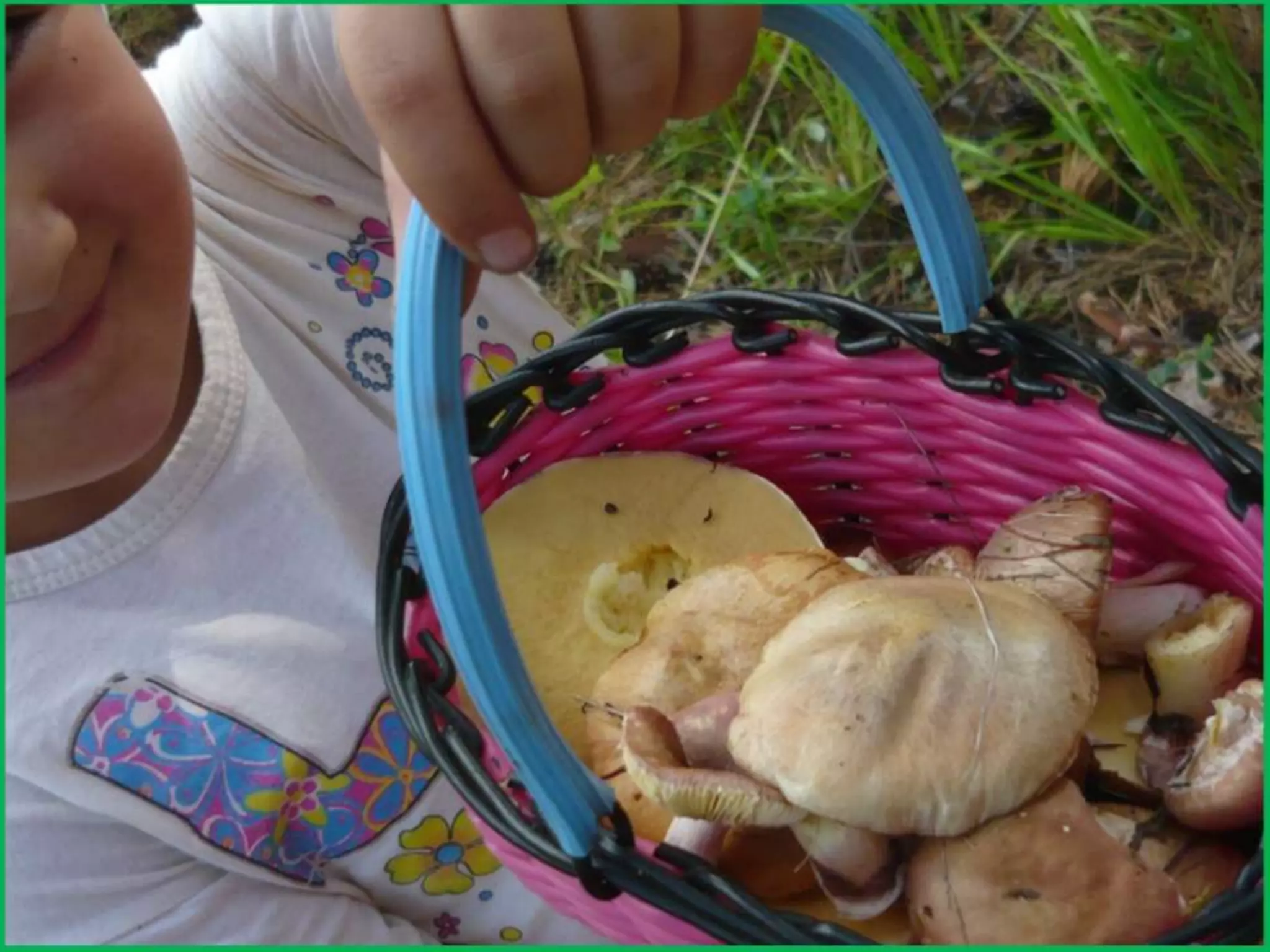 Шаймухаметова Л.А. Мой край – Урал (презентация)