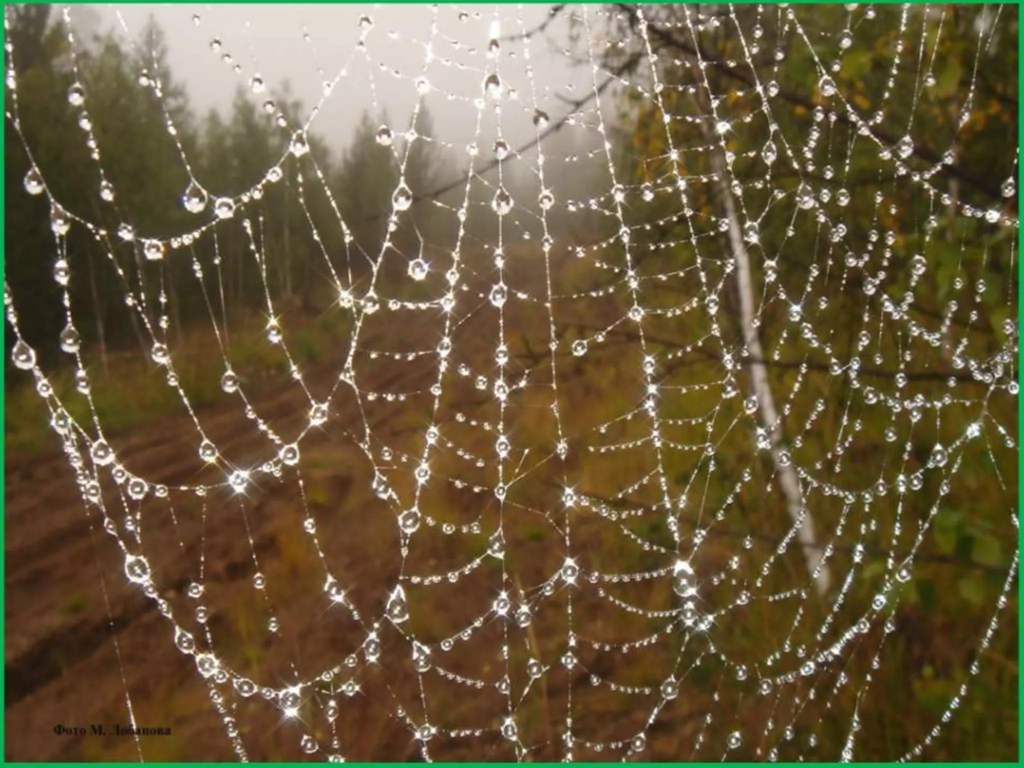 Шаймухаметова Л.А. Мой край – Урал (презентация)