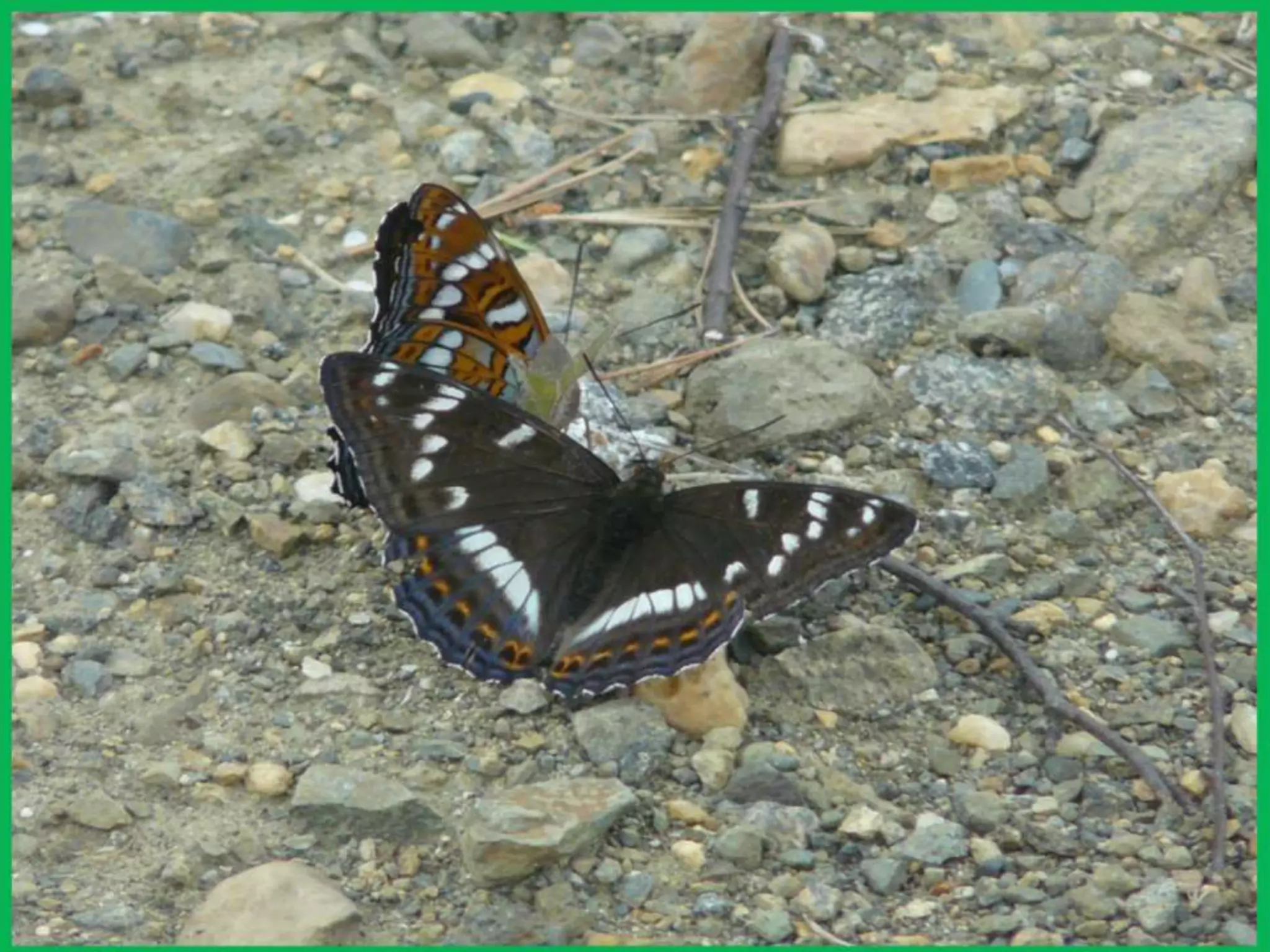 Шаймухаметова Л.А. Мой край – Урал (презентация)
