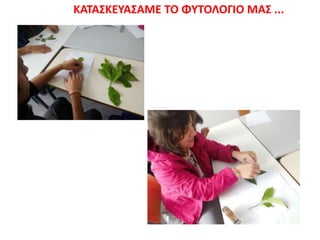 ΚΑΣΑ΢ΚΕΤΑ΢ΑΜΕ ΣΟ ΦΤΣΟΛΟΓΙΟ ΜΑ΢ ...
 