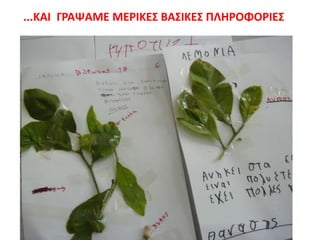 ...ΚΑΙ ΓΡΑΨΑΜΕ ΜΕΡΙΚΕ΢ ΒΑ΢ΙΚΕ΢ ΠΛΗΡΟΦΟΡΙΕ΢
 