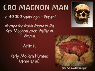 Hominids and the Stone Age | PDF