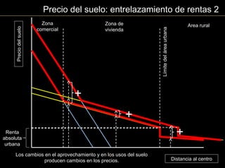 Distancia al centro
Preciodelsuelo
Area rural
Límitedeláreaurbana
Renta
absoluta
urbana
Zona de
vivienda
Zona
comercial
Precio del suelo: entrelazamiento de rentas 2
+
+
+
Los cambios en el aprovechamiento y en los usos del suelo
producen cambios en los precios.
 