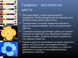 Графика: восприятие
цвета
 Лягушка видит только движущиеся
предметы.Чтобы увидеть все остальное, она
должна сама начать двигаться.
 Сумеречные и ночные животные (волки и
другие хищные звери), почти не различают
цветов.
 Стрекоза хорошо различает цвета, но только
нижней половиной глаз. Верхняя половина
смотрит в небо, на фоне которого добыча и
так хорошо заметна.
 Пчелы и другие насекомые не видят красного
цвета, но различают ультрафиолетовые
цвета, невидимые для человека, и у многих
цветов есть узоры в ультрафиолетовом
диапазоне спектра.
 