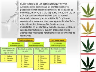 CLASIFICACIÓN DE LOS ELEMENTOS NUTRITIVOS
Actualmente se admite que las plantas superiores
pueden contener hasta 60 elemen...