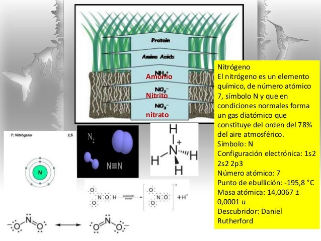 5 nitrgeno el nitrgeno es un elemento qumico - Tabla Periodica De Los Elementos Quimicos Como Se Usa 5 nitrgeno el nitrgeno es un elemento qumico - Tabla Periodica De Los Elementos Quimicos Como Se Usa