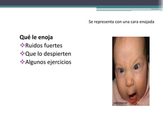 Se representa con una cara enojada
Qué le enoja
Ruidos fuertes
Que lo despierten
Algunos ejercicios
 
