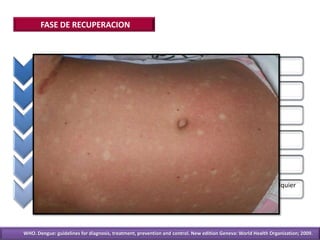 FASE DE RECUPERACION
• Si sobrevive a fase crítica, reabsorbe los líquidos extravasados en 24 - 48h
• Mejora el bienestar general, apetito
• Pocos síntomas GI
• Hay diuresis
• “Islas blancas en mar rojo”
• Si hubo exceso de líquidos IV, la falla respiratoria y la ascitis pueden ocurrir en cualquier
momento
WHO. Dengue: guidelines for diagnosis, treatment, prevention and control. New edition Geneva: World Health Organization; 2009.WHO. Dengue: guidelines for diagnosis, treatment, prevention and control. New edition Geneva: World Health Organization; 2009.
 