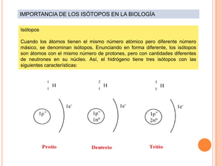 Isótopos
Cuando los átomos tienen el mismo número atómico pero diferente número
másico, se denominan isótopos. Enunciando en forma diferente, los isótopos
son átomos con el mismo número de protones, pero con cantidades diferentes
de neutrones en su núcleo. Así, el hidrógeno tiene tres isótopos con las
siguientes características:
IMPORTANCIA DE LOS ISÓTOPOS EN LA BIOLOGÍA
 