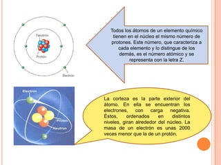Todos los átomos de un elemento químico
tienen en el núcleo el mismo número de
protones. Este número, que caracteriza a
ca...