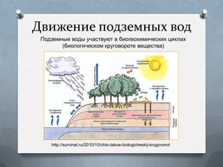 Движение подземных вод
http://survinat.ru/2010/10/chto-takoe-biologicheskij-krugovorot
Подземные воды участвуют в биогеохимических циклах
(биологическом круговороте вещества)
 