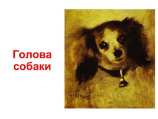 Голова
собаки
 