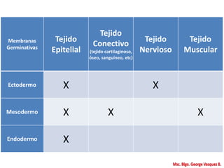 Membranas
Germinativas
Tejido
Epitelial
Tejido
Conectivo
(tejido cartilaginoso,
óseo, sanguíneo, etc)
Tejido
Nervioso
Tejido
Muscular
Ectodermo X X
Mesodermo X X X
Endodermo X
 