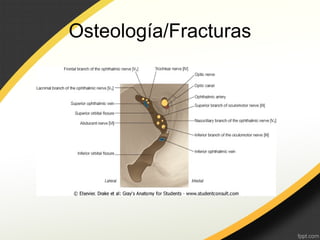 Osteología/Fracturas
 