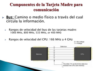  Bus: Camino o medio físico a través del cual
circula la información.
 Rangos de velocidad del bus de las tarjetas madre:
1066 MHz, 800 MHz, 533 MHz, or 400 MHz
 Rangos de velocidad del CPU: 166 MHz a 4 GHz
 