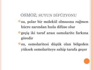 OSMOZ; SUYUN DİFÜZYONU
 su, polar bir molekül olmasına rağmen
hücre zarından hızla difüze olur
 geçiş iki taraf arası osmolarite farkına
göredir
 su, osmolaritesi düşük olan bölgeden
yüksek osmolariteye sahip tarafa geçer
 