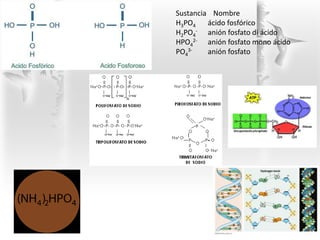 Sustancia Nombre
H3PO4 ácido fosfórico
H2PO4
- anión fosfato di ácido
HPO4
2- anión fosfato mono ácido
PO4
3- anión fosfato
 