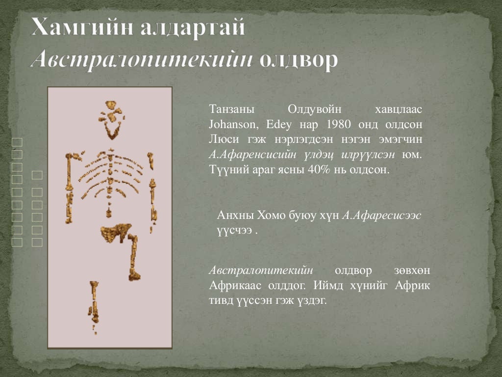 1хүний гарал үүсэл