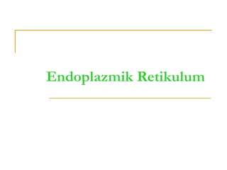 Endoplazmik Retikulum
 